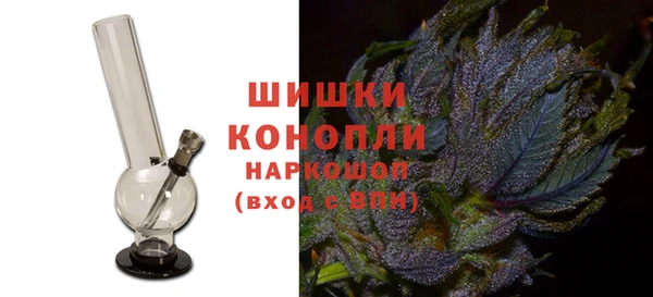 apvp Ельня