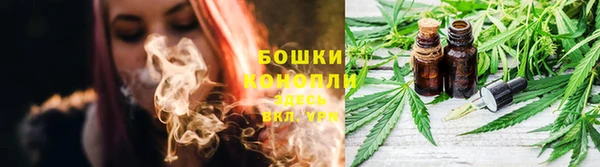 ПСИЛОЦИБИНОВЫЕ ГРИБЫ Елабуга