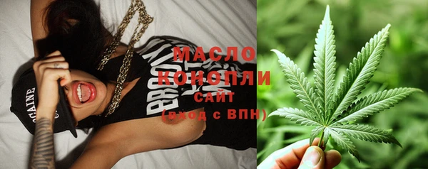 apvp Ельня