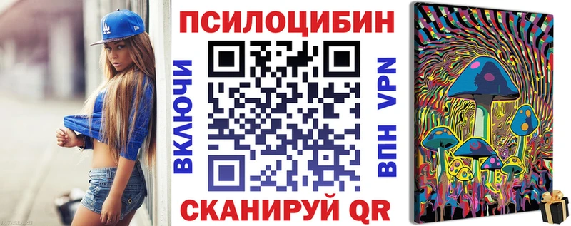 Галлюциногенные грибы Psilocybe  где продают   Шадринск 
