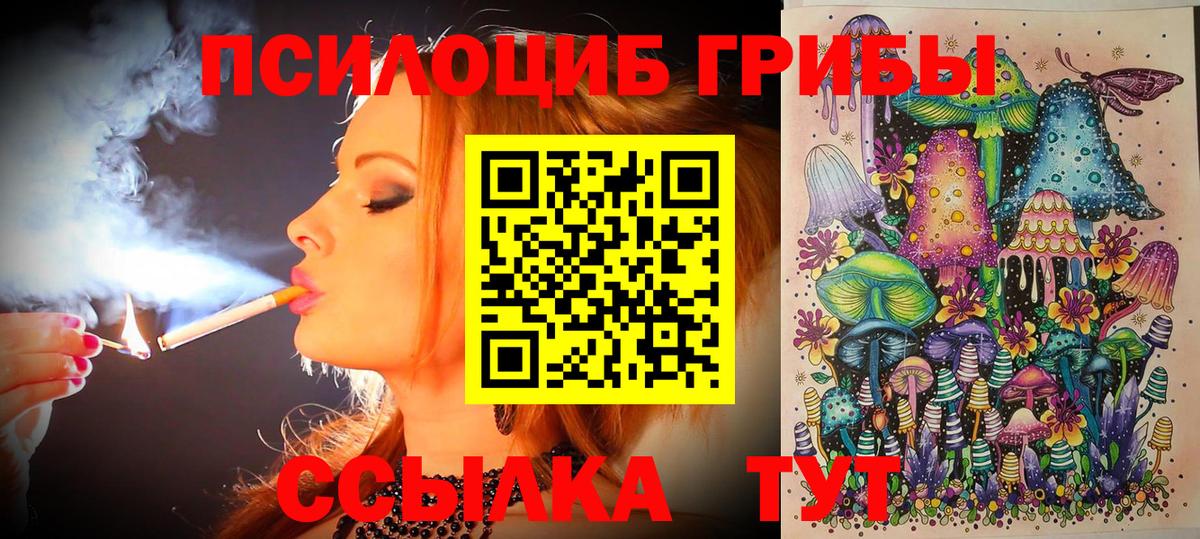 Шадринск  Псилоцибиновые грибы прущие грибы  купить наркоту  Вход с VPN 
