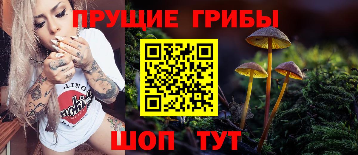 Псилоцибиновые грибы MAGIC MUSHROOMS Шадринск